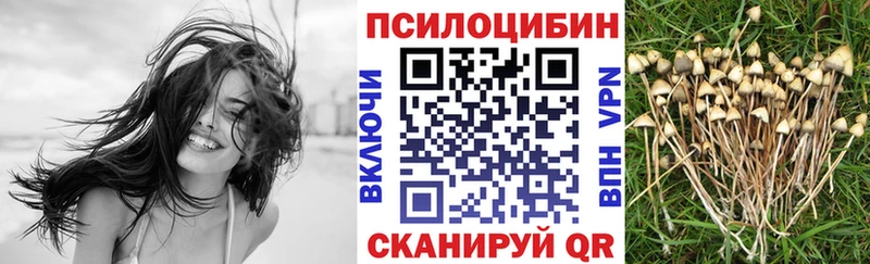 ОМГ ОМГ как войти  сколько стоит  Макарьев  Галлюциногенные грибы Magic Shrooms 